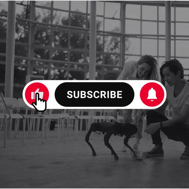 Social Media preview
